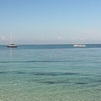 Benjamin Canter (@bcanter16) 's Twitter Profile