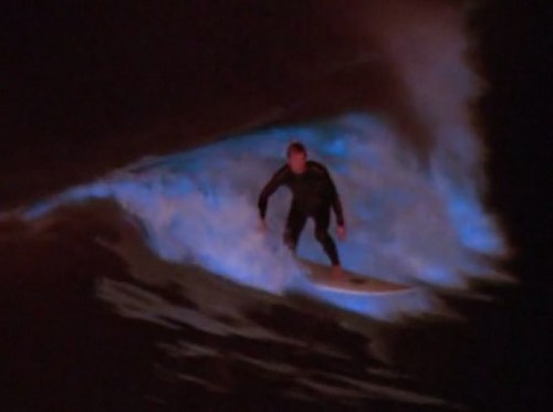 dweezy1993's profile picture. Yes im a young father. But at 20 i have the best thing in the world and thats my baby girl.