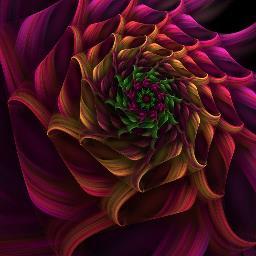 steven_gaddu's profile picture. 