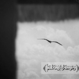 سبحان الله وبحمده سبحان الله العظيم