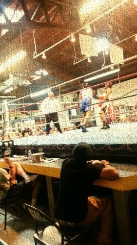 whosrockin's profile picture. 