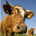 Amy Beasley - @AmyBeasley16 - Twitter