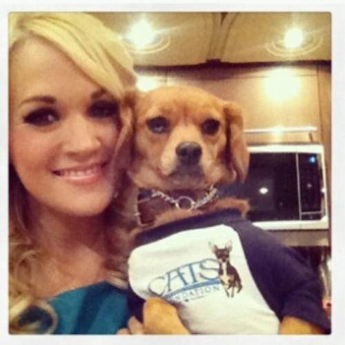 Twitter dedicado a versos da cantora Country @CarrieUnderwood :) 
Moderadores: @__Zezinho e @AnneSodi