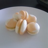 Miami Pastry Tracy (@tracyciardi) 's Twitter Profile