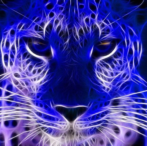 cosmocrattor's profile picture. 