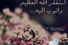 #ي الحبيبہہ .. منذ متى لم أنادي بهذا اللقب !؟ ربي فاق إشتياقي لها سعة كونك فَ أجمعني بها في جنتك ، اللهُم نوّر عليها قبرها وآنسها في وحدتها - اللهمم امين ..