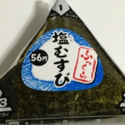 見守り専用。成人済。