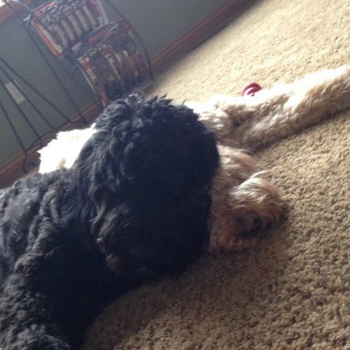 therealOJ23's profile picture. 