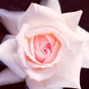 Demi Freeman - @Demi_67 - Twitter