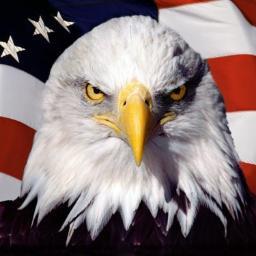 GOD BLESS AMERICA. GOD BLESS ONE DIRECTION. The majestic Bald Eagle will fly you to freedom. The majestic @BarackObama is our leader. #USDIRECTIONERS #TeamUSA