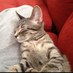 Whyamisotired (@whyamisotired) Twitter profile photo