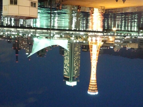 potio88's profile picture. Te Quieroヾ(*´∀`)ﾉ☆*