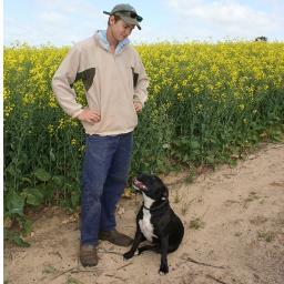 Sheep, cropping and sand farmer in Dandaragan. Interested in finding a market for rocks and blowflies