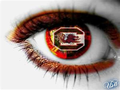 KarenLDavisHSC's profile picture. SC gal who loves her Gamecocks and Dallas Cowboys