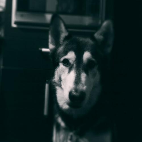 RegAC's profile picture. 