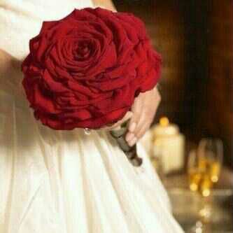 طالبه جامعيه تخصص كيمياء..س أحلم وأتماادى ب أحلامي فلا شيء على الله ب مستحيل ♥