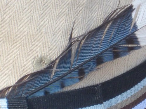 GonzoWithGusto's profile picture. 