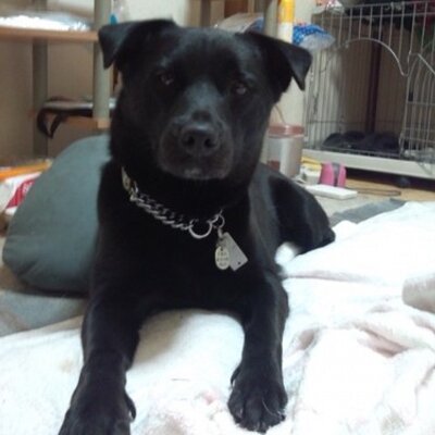 岡富凡太 今日のhey hey heyで福くんとミタの子役がマルモリ 熱唱って芦田愛菜の重要がなくなってきてるんかな それにしてもこのコンビでマルモリはあかんやろ ミタの子役も役のイメージばっかり先行して名前出てこんし 皆さんどう思いますか