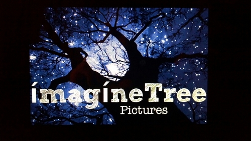 Feature film concept house. Develop Adventure, Fantasy, Sci-Fi & Drama genres for production by major studios. Relationships include: Marvel, Disney & Others