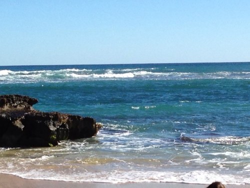 Perths_problem's profile picture. 