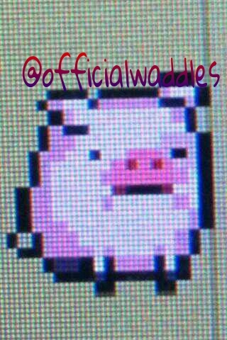 Oink. it's me, Waddles! I'm staying with Mabel, Dipper, and Grunkle Stan for the summer in Gravity Falls, Oregon. FEED ME CANDY APPLES. Oink.