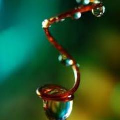 A feast of delight can also serve others.-Milarepa