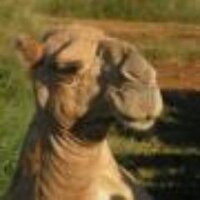 Uncle Spike (@unclespikes) 's Twitter Profile