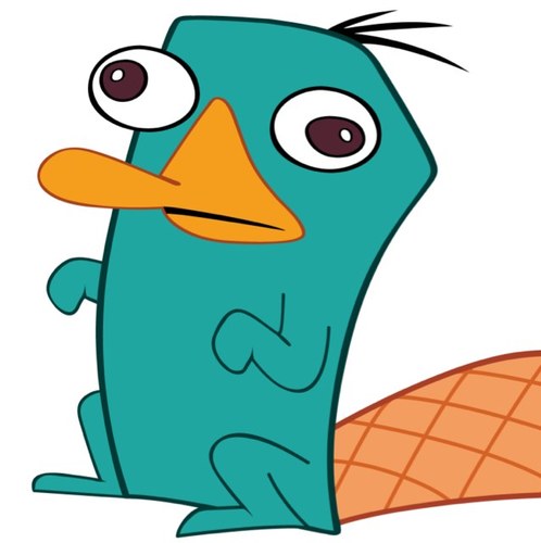 james_platypus's profile picture. Brother of @some_platypus chilling under a tree looking for a mate