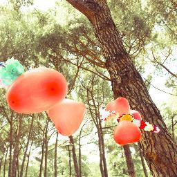 nicole_sanz's profile picture. 