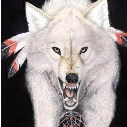 Xbox360,Gamer,GT:UniQueWaVy,YT/GalaxyWolfHD