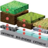 Green Roof Expert (@activeecology) 's Twitter Profile Photo Green Roof Expert (@activeecology) 's Twitter Profile Photo