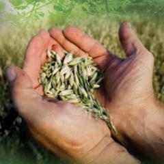 tharunkarra's profile picture. 