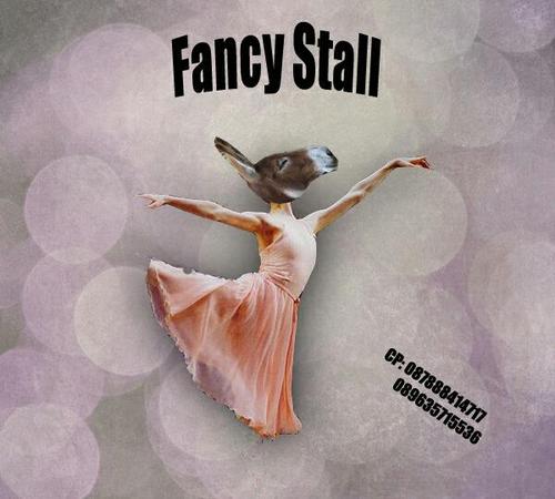@fancystall