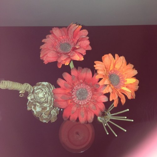 shooga2s2's profile picture. 