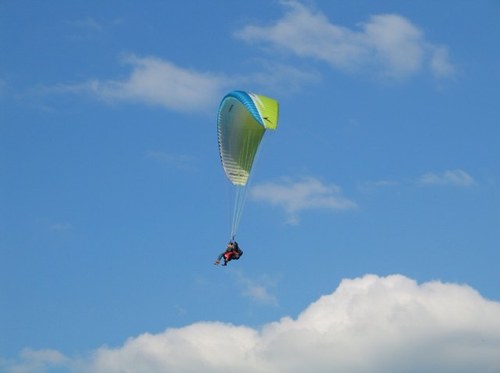 FrauMenke's profile picture. 