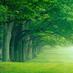 vefa_alparslan (@adaletimahzaol) Twitter profile photo