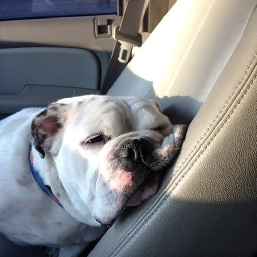 benray111's profile picture. 