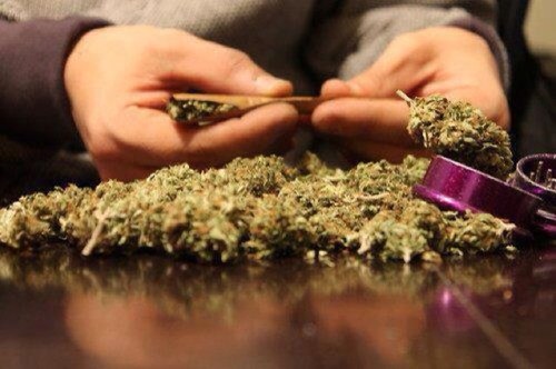 Smoke WEED Everyday. Fumé jusqu'à pu ouvrir les popières. Turn my twitter for more Smock