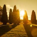 Sandra Lundgren - @san_lundgren - Twitter