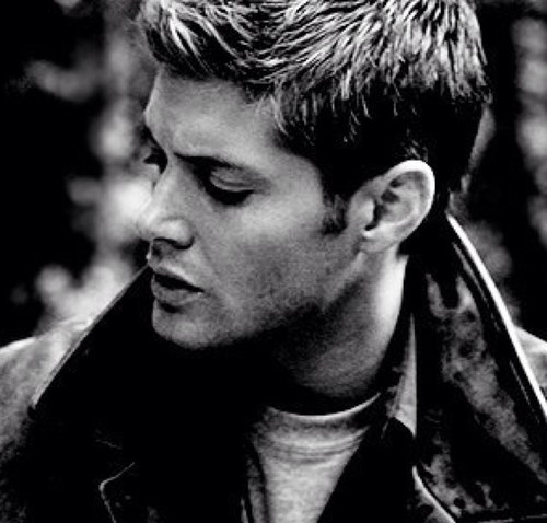 A charming, dashing, rogue with perfect hair and ridiculously high sex appeal. Need trouble made? I'm your man. Big Moose is my brother @forevershotgun [RP/18+]