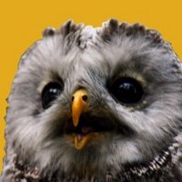 モン。 (@shinzanmono_da) 's Twitter Profile