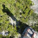 Sarah Smits - @SrhSmts - Twitter