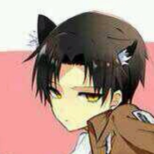 学生リヴァイ 猫化 Rivai Nrgaku Twitter
