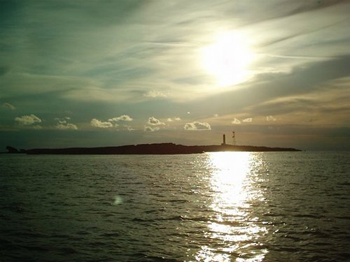 GOGOS1066's profile picture. 