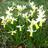 Dr_Alison_W's profile image