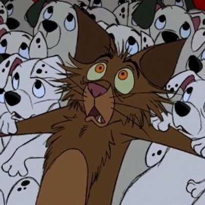 チブス軍曹 Tibbsoshi Twitter チブス軍曹 Tibbsoshi Twitter