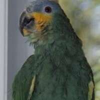 John D (@tinketytonks) 's Twitter Profile