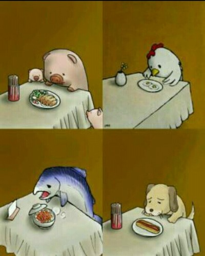 아마 사진에따라서 이름이 바뀔겁니다.