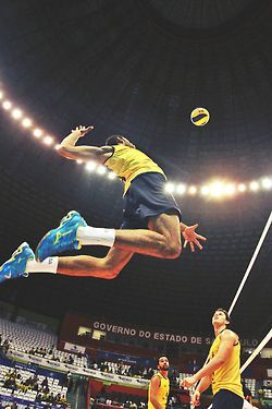 Vllybl's profile picture. if volleyball is your life
