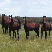 Callaghan Park (@callaghanpark) 's Twitter Profile